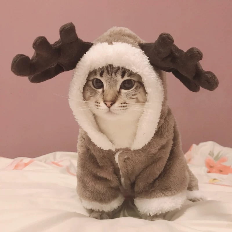Winter Cat Clothes Warm Fleece Pet Costume For Small...